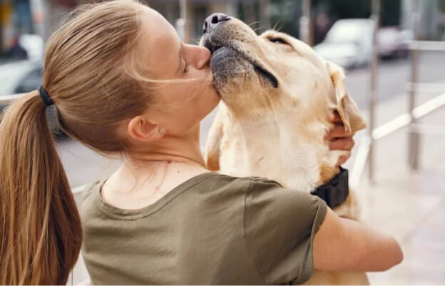 собака обнимает лапами хозяина